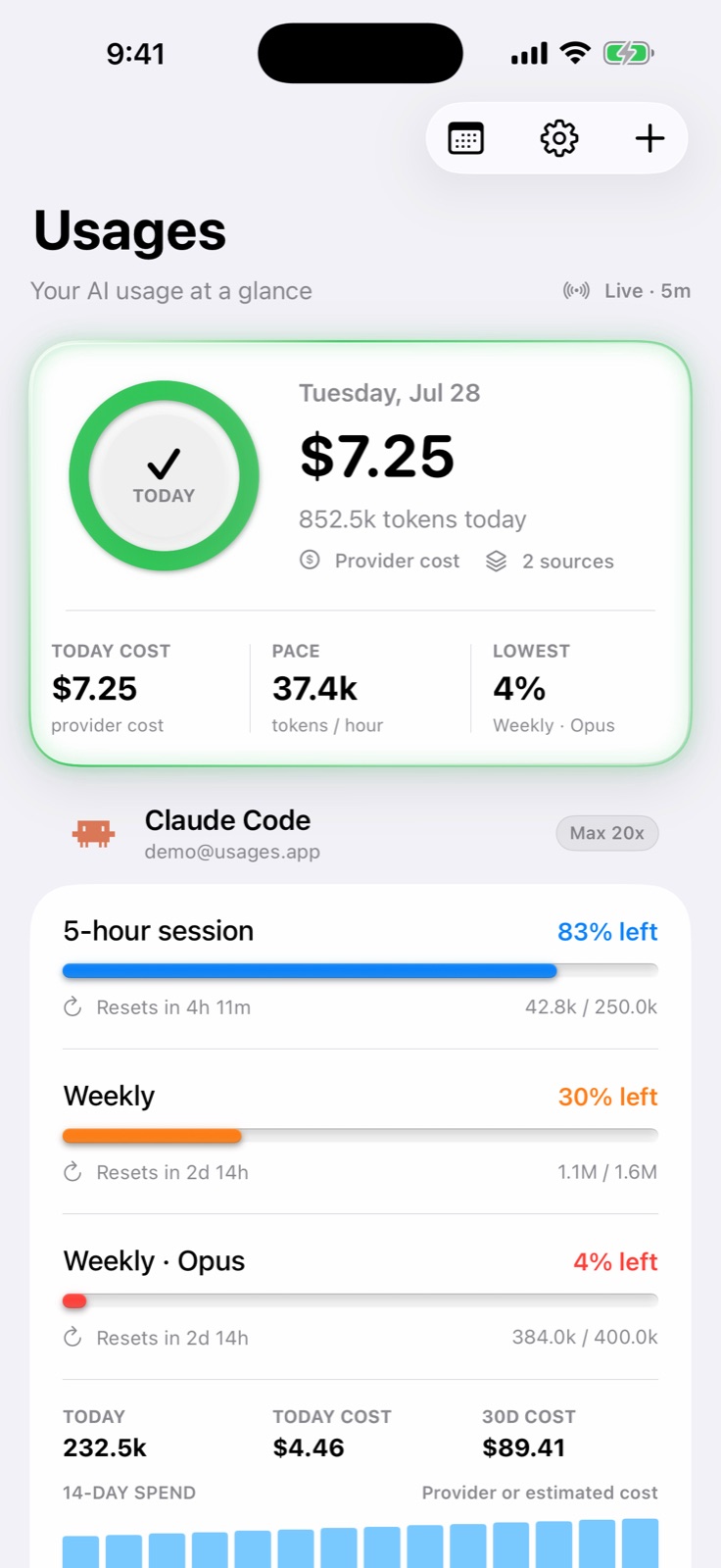 Usages dashboard with live AI limits, reset windows, and cost